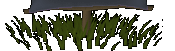 banner bottom