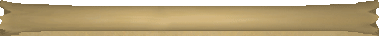 Scroll Top